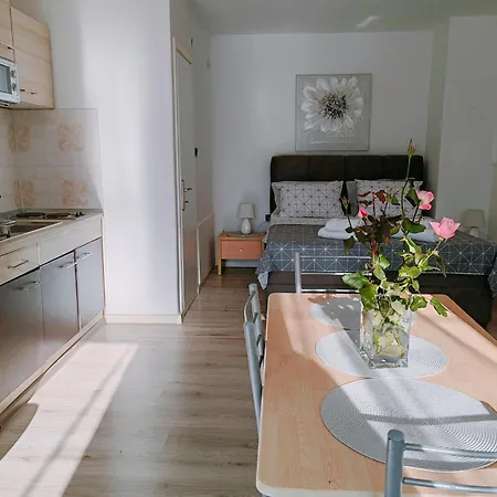 Apartment Marko